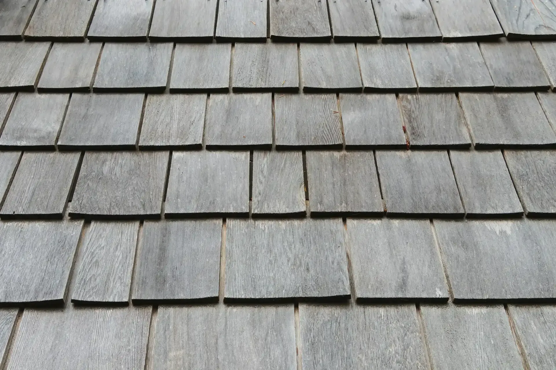 Single-Ply Membrane (TPO) example